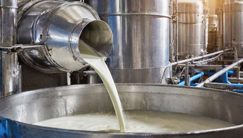 The Importance of Pasteurization in Ice Cream Manufacturing