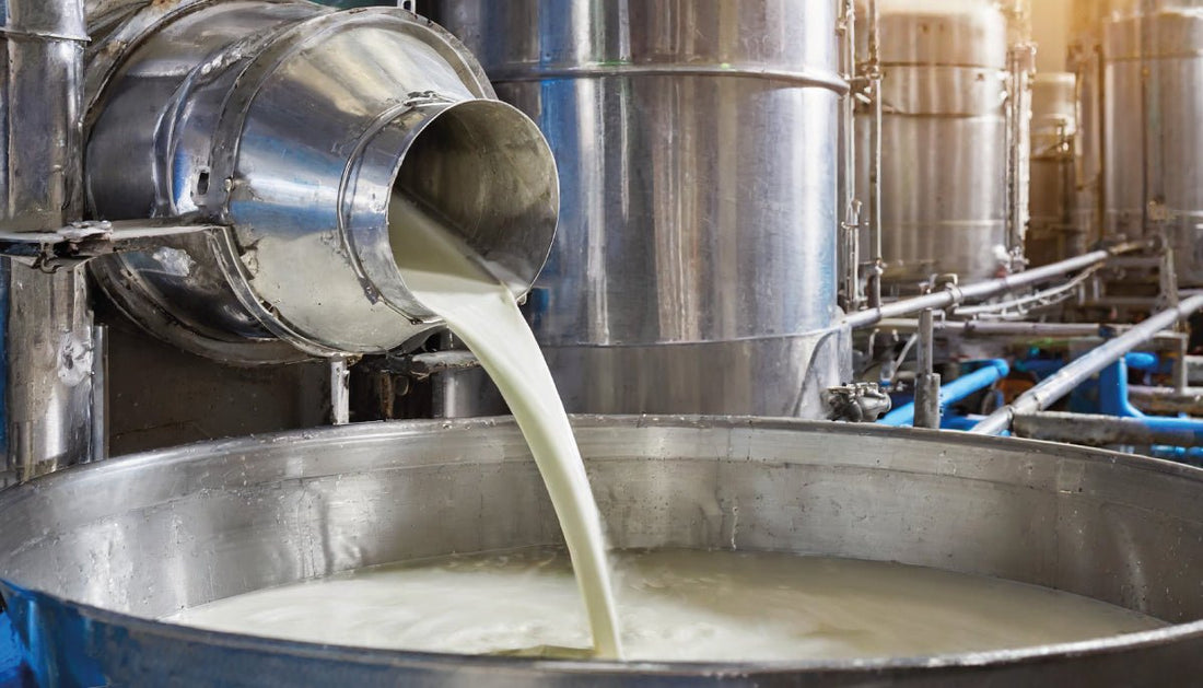 The Importance of Pasteurization in Ice Cream Manufacturing - Finamac LLC