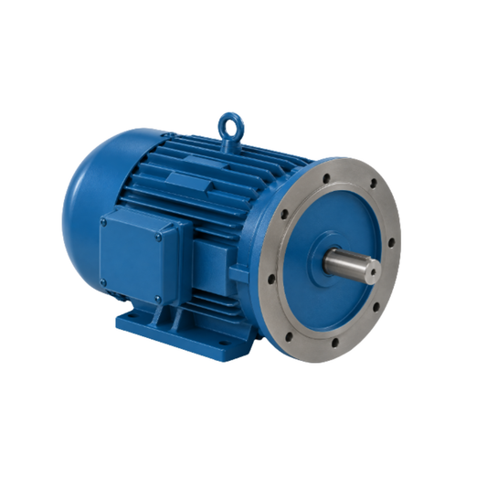 220V 60HZ AGITATOR MOTOR FOR PP60