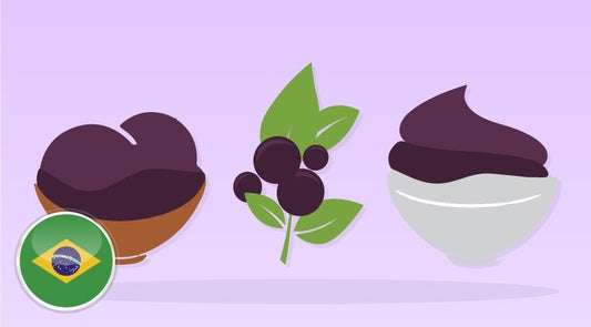 Practical Online Course - Açai Production - Finamac LLC