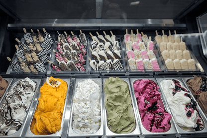 Vista Display Case - Ice Cream and Ice Pop Display Case - Finamac LLC